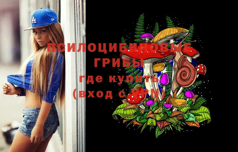 Галлюциногенные грибы Psilocybine cubensis Барабинск